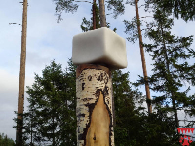 Nuolukivi , riistanhoitoa