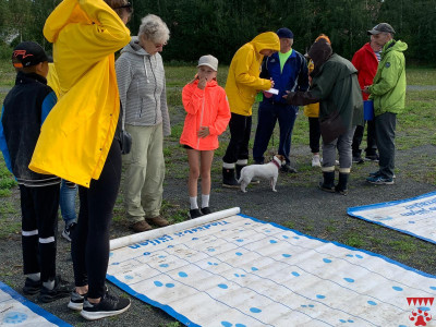 Jälkimatot kiinnostivat monia juhlavieraita.