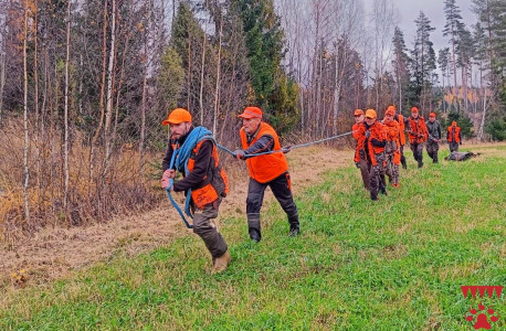 Hirven vetäminen pistää veren kiertämään passissa odottelun jälkeen.