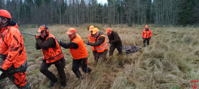 Hirven vetäminen pistää veren kiertämään passissa odottelun jälkeen.